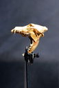 varg20123071.jpg