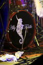 atf_20123699.jpg