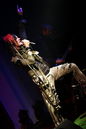 loar20123807.jpg