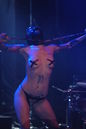 alva20124433.jpg