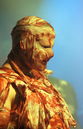 jrrd20124568.jpg
