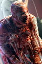 jrrd20124584.jpg