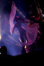crx_20124653.jpg