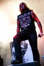 varg20131449.jpg