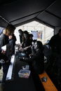 imp_20131476.jpg