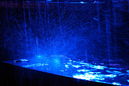 imp_20131492.jpg