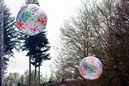 imp_20131511.jpg