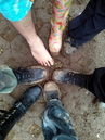 imp_20131517.jpg