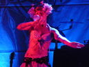 faun20131560.jpg