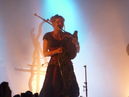 faun20132943.jpg