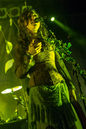 faun20133769.jpg