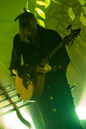 faun20133770.jpg