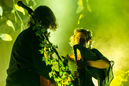 faun20133772.jpg
