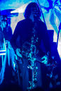 faun20133773.jpg