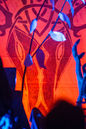 faun20133775.jpg