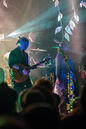 faun20133776.jpg