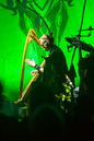 faun20133777.jpg