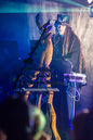 faun20133780.jpg