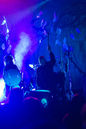 faun20133781.jpg