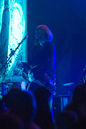 faun20133782.jpg
