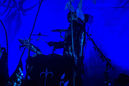 faun20133783.jpg