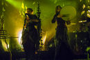 faun20133789.jpg