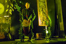 faun20133790.jpg
