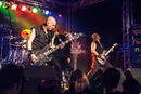 igl_20133905.jpg