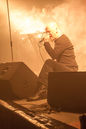 eafl20140292.jpg