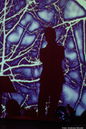 acla20141115.jpg