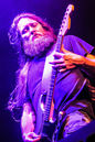 obty20142174.jpg