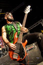 bstl20143081.jpg
