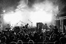 phty20143175.jpg
