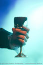 odix20143334.jpg