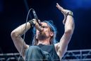 bog_20162718.jpg