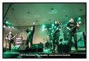 shsh20171038.jpg