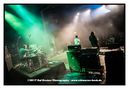 thc_20173480.jpg