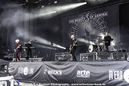 tbog20221643.jpg