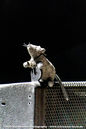imp_20250592.jpg