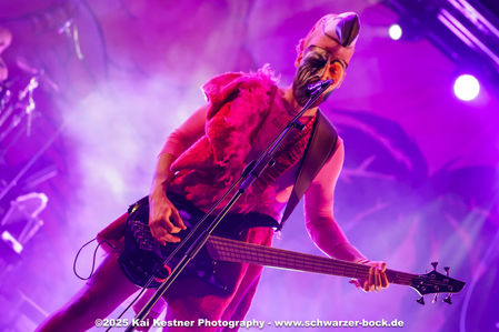 Klicken für Bild in voller Größe