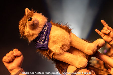 Klicken für Bild in voller Größe