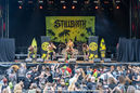 stib20251115.jpg