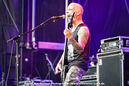 wilt20251132.jpg