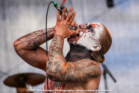 Klicken für Bild in voller Größe