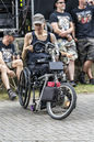 imp_20261867.jpg